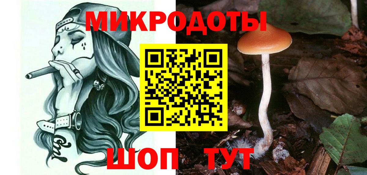 Елабуга  Галлюциногенные грибы Psilocybe  Псилоцибиновые грибы MAGIC MUSHROOMS  Вход с VPN 